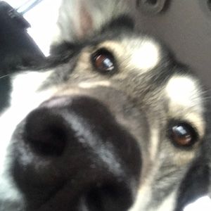 Meet your Posher, Brett